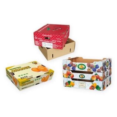 food packaging,paper box